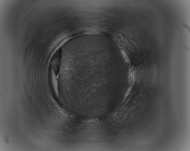 X0000097660243200803280957