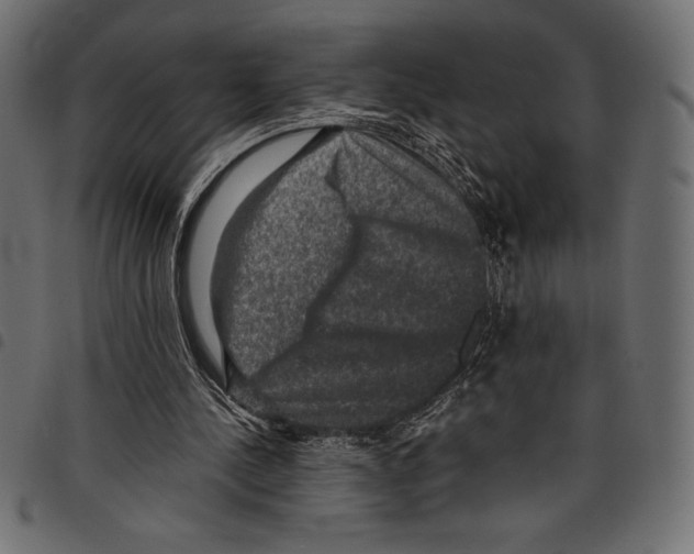 X0000097660244200803280957