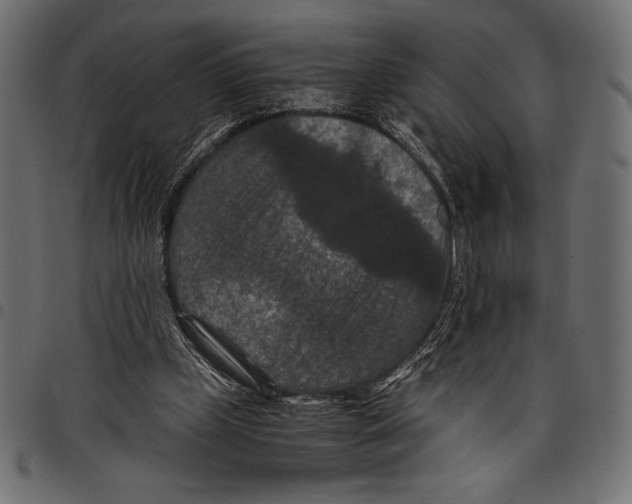 X0000097660249200803280957