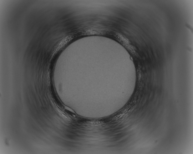 X0000097660250200803280957