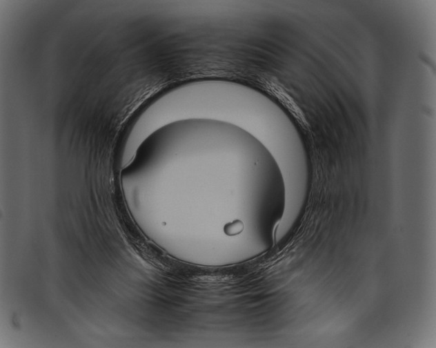 X0000097660251200803280957