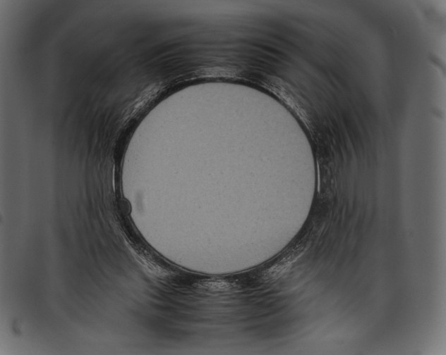 X0000097660253200803280957