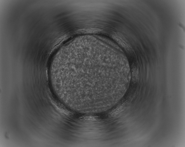 X0000097660254200803280957