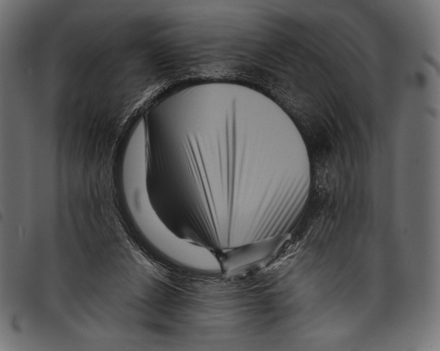 X0000097660256200803280957