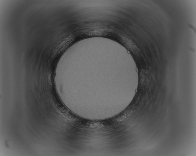 X0000097660258200803280957