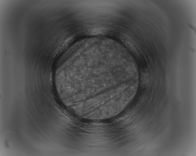 X0000097660260200803280957