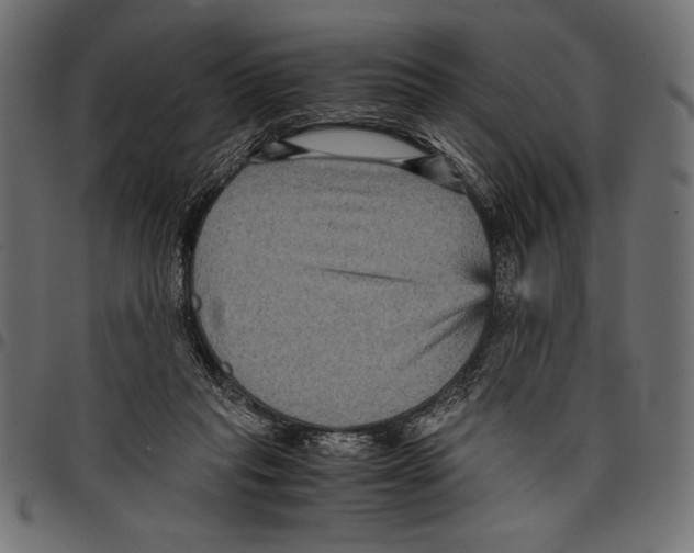 X0000097660261200803280957