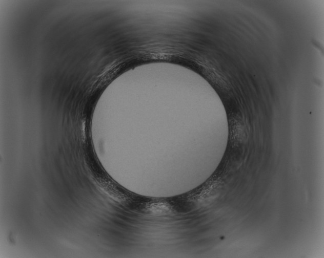 X0000097660262200803280957