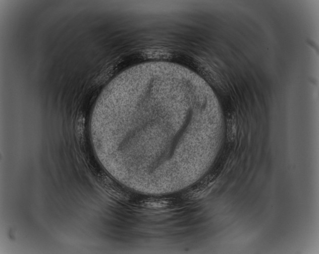 X0000097660263200803280957