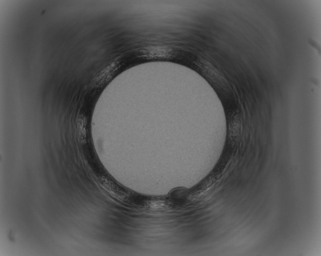 X0000097660264200803280957