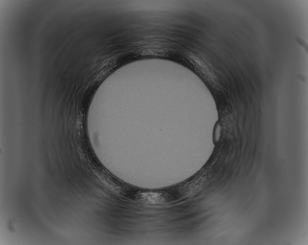 X0000097660265200803280957