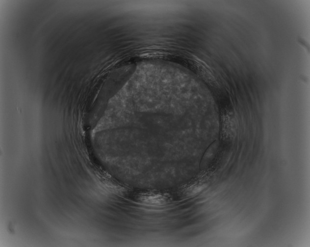 X0000097660267200803280957