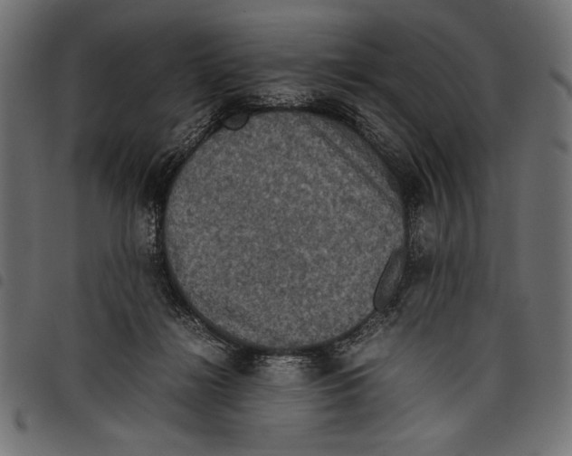 X0000097660268200803280957