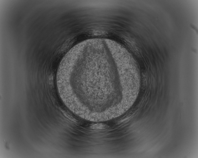 X0000097660269200803280957