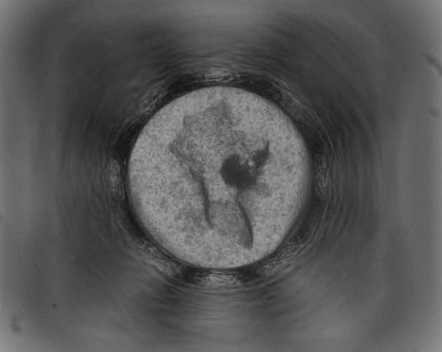 X0000097660270200803280957