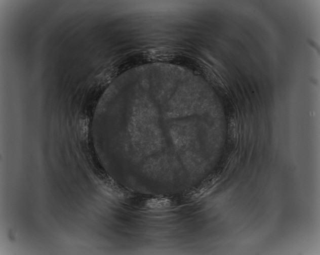 X0000097660271200803280957
