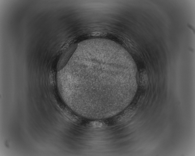 X0000097660272200803280957