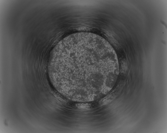 X0000097660273200803280957
