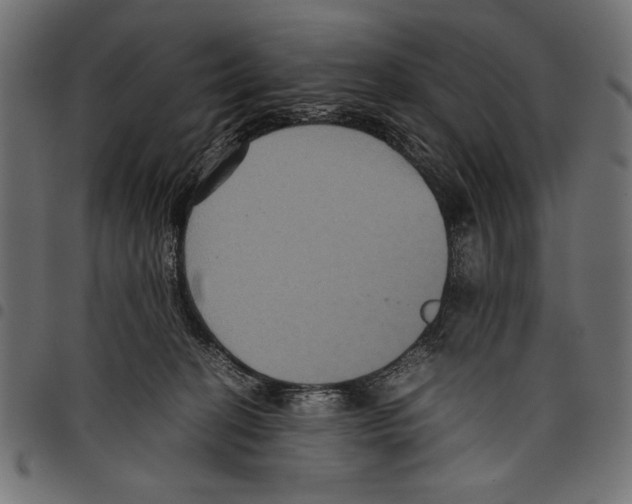 X0000097660274200803280957