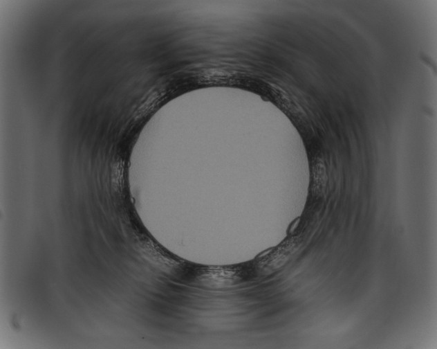 X0000097660278200803280957