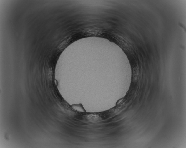 X0000097660279200803280957