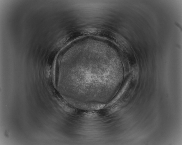 X0000097660284200803280957