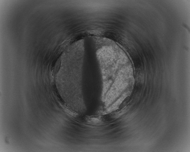 X0000097660285200803280957