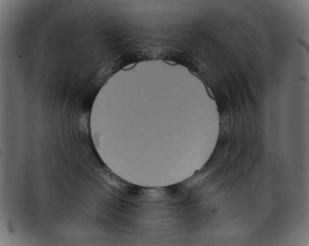 X0000097660286200803280958