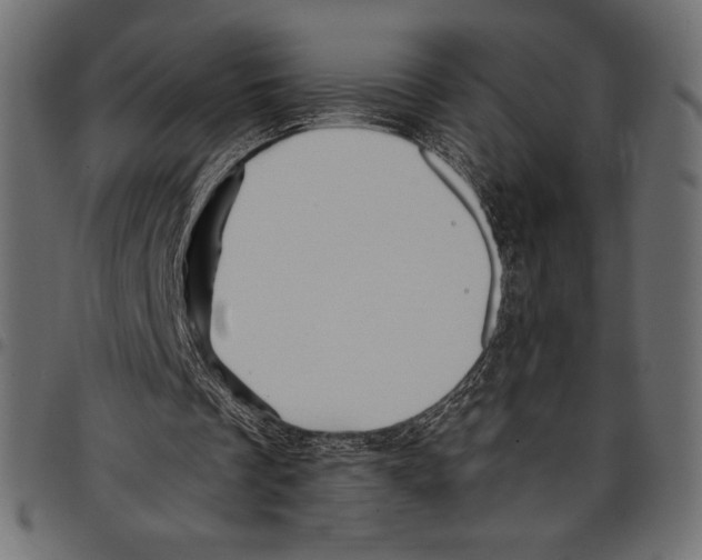 X0000097660289200803280957