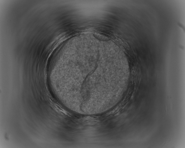 X0000097660290200803280957