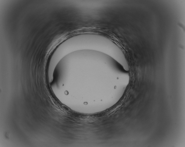 X0000097660293200803280957