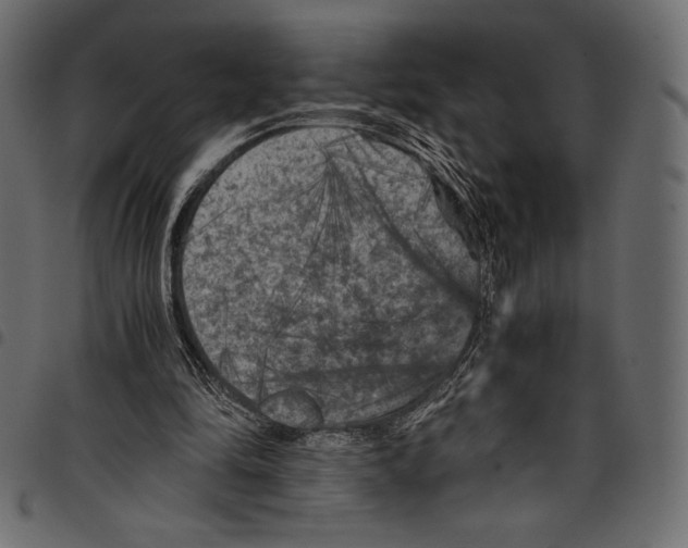 X0000097660294200803280957