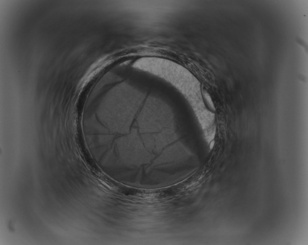 X0000097660295200803280957