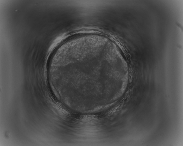 X0000097660296200803280957