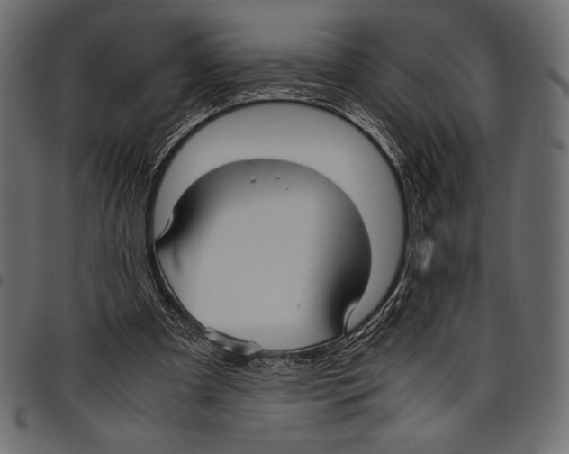 X0000097660297200803280957