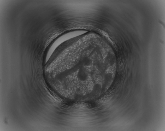 X0000097660299200803280957