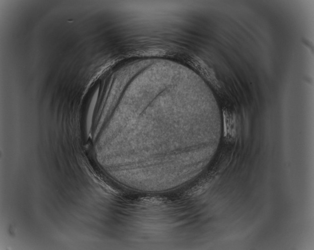 X0000097660300200803280957