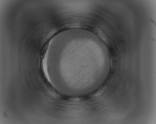 X0000097660301200803280957