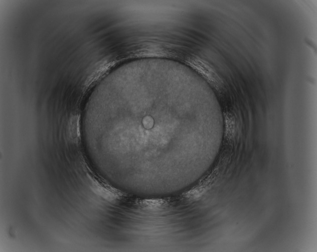 X0000097660302200803280957