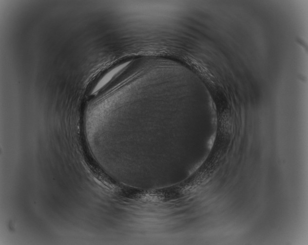 X0000097660303200803280957
