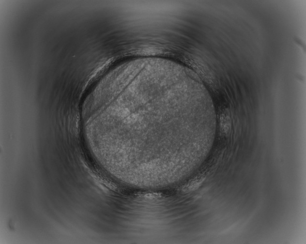 X0000097660304200803280957