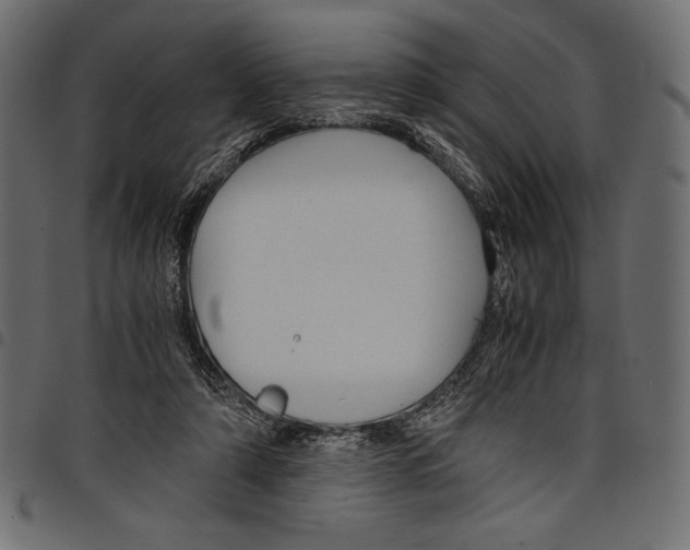 X0000097660306200803280957