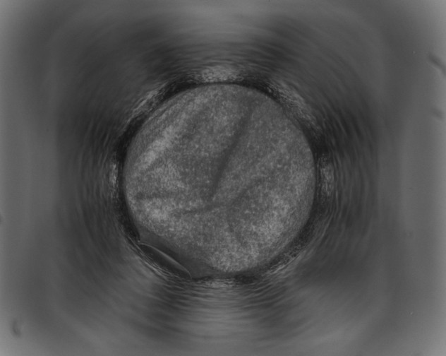 X0000097660308200803280957