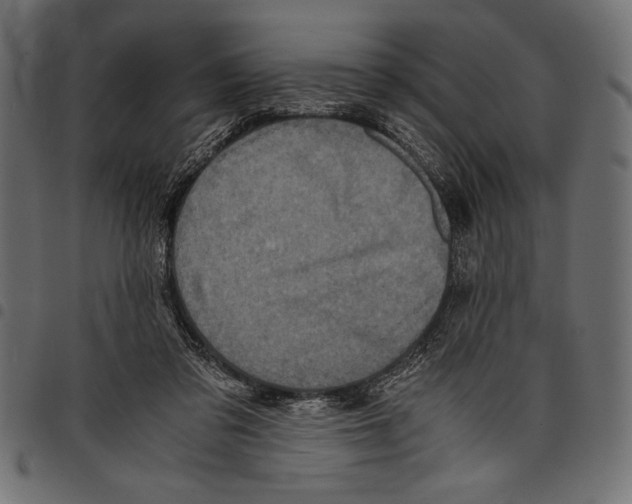 X0000097660309200803280957