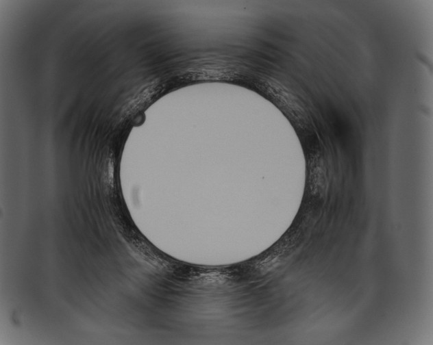 X0000097660310200803280957