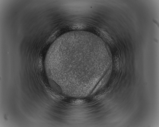 X0000097660312200803280957