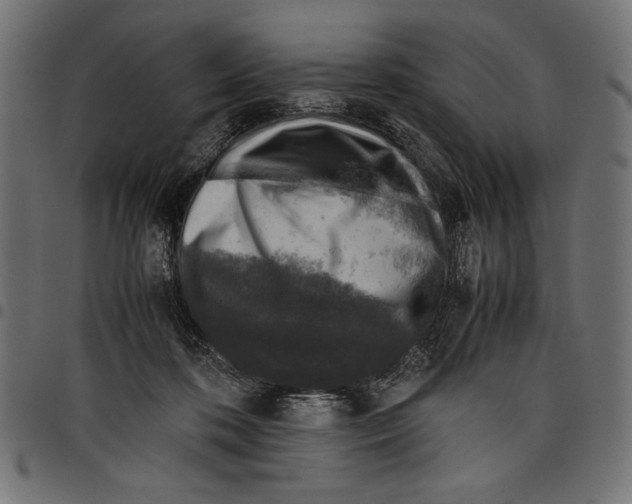 X0000097660316200803280956