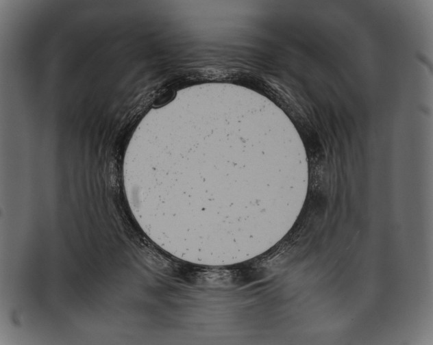 X0000097660317200803280956