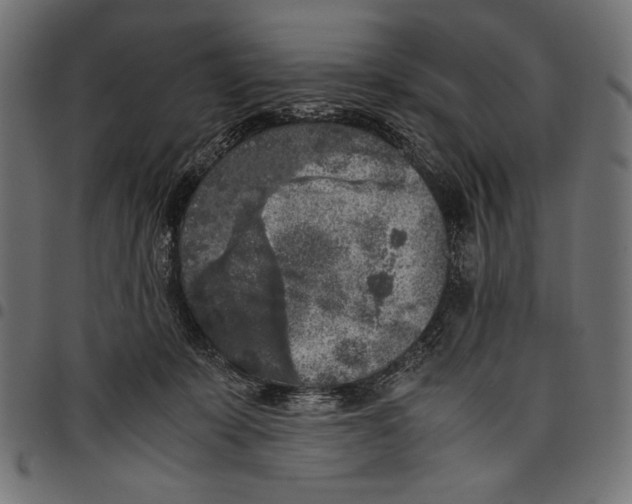 X0000097660319200803280956