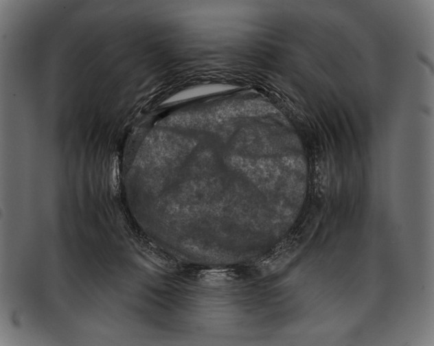 X0000097660320200803280956